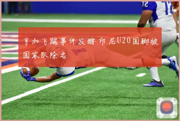 亨加飞踹事件发酵 印尼U20国脚被国家队除名
